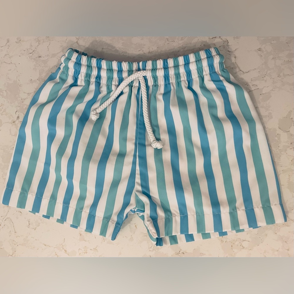 Striped Blue and White Swim Shorts